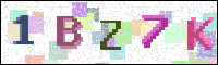 Image Verification