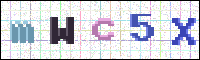 Image Verification