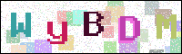 Image Verification