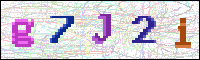 Image Verification