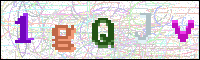 Image Verification