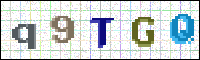 Image Verification