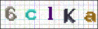 Image Verification
