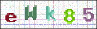 Image Verification