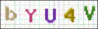 Image Verification
