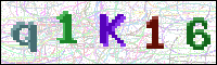 Image Verification