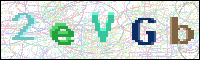Image Verification