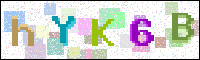 Image Verification