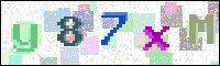 Image Verification