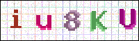 Image Verification