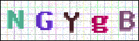 Image Verification