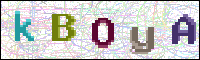 Image Verification