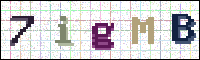 Image Verification