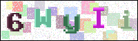 Image Verification