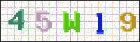 Image Verification